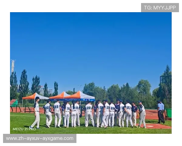 运动科学如何优化棒球训练计划？